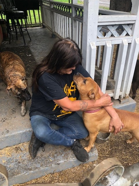 Woman sitting on steps, hugging a brown dog with another brindle dog nearby