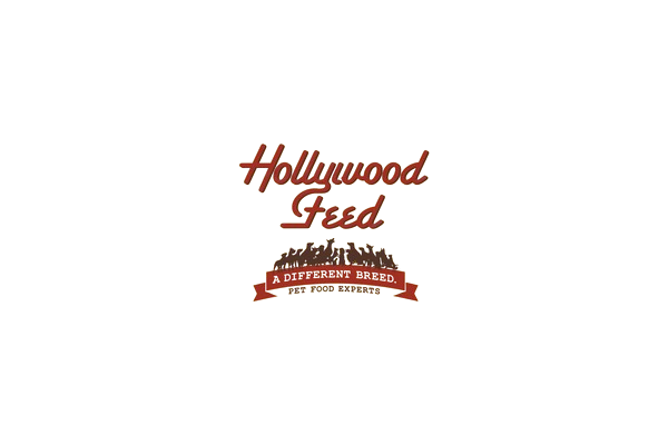 Hollywood Feed