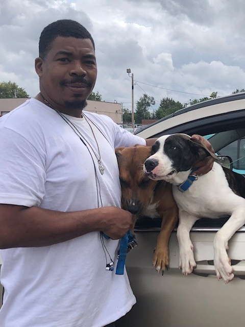 Man in a white shirt with two dogs, one brown and one black and white, leaning out of a car window