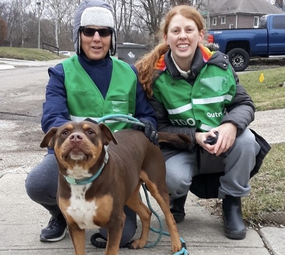 Two volunteers in green vests kneeling on the sidewalk with a brown and white dog on a leash