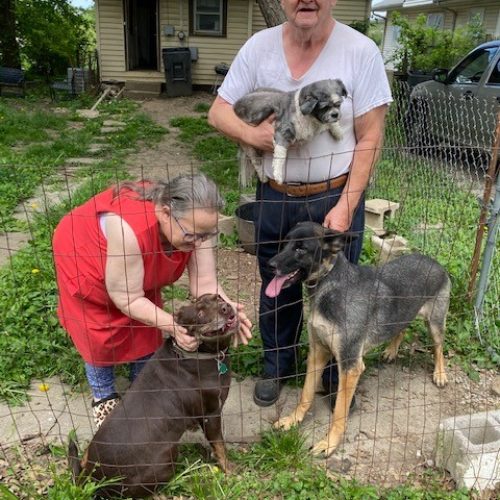 A couple with four dogs, two small and two large, sharing a moment together in their yard.