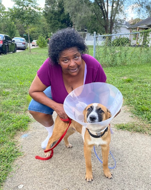 Woman in purple shirt with dog in e-collar.